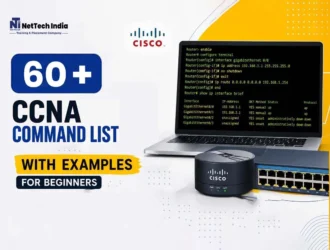 ccna courses