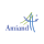Amiand Consulting Pvt Ltd