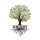 Kriarj Business Consultants Pvt Ltd